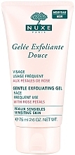 Fragrances, Perfumes, Cosmetics Gentle Exfoliating Face Gel with Rose Petals - Nuxe Gentle Exfoliating Gel With Rose Petals