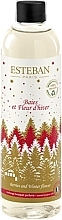 Esteban Berries And Winter Flower - Fragrance Diffuser (refill) — photo N1