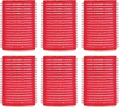 Fragrances, Perfumes, Cosmetics Velcro Rollers, 6 pcs, red - Deni Carte