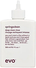 Fragrances, Perfumes, Cosmetics Deep Cleansing Cream for Curly Hair - Evo Springsclean Deep Clean Rinse