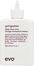 Deep Cleansing Cream for Curly Hair - Evo Springsclean Deep Clean Rinse — photo N1