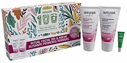 Fragrances, Perfumes, Cosmetics Set - Weleda Wildrose (f/cr/2X30ml + lip/balm/10ml)