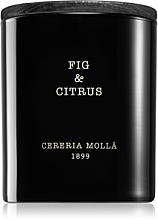 Fragrances, Perfumes, Cosmetics Cereria Molla Fig & Citrus - Scented Candle