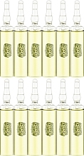 Rejuventing & Strengthening Hair Ampoules - Ronney Hair Ampoules Intensive Argan Rejuventing — photo N2