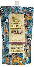 Fragrances, Perfumes, Cosmetics Normal and Oily Hair Sea Buckthorn Shampoo "Deep Cleansing and Care" - Natura Siberica (doypack)