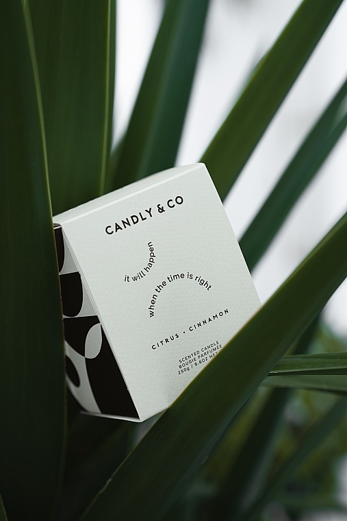 Scented Candle - Candly & Co No.3 Candle It Will Happen When The Time Is Right — photo N2