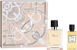 Fragrances, Perfumes, Cosmetics Hermes Terre d'Hermes - Set (edt/50ml + sh/gel/40ml)