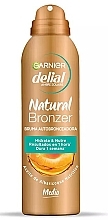 Fragrances, Perfumes, Cosmetics Self Tanning Spray - Garnier Delial Ambre Solaire Natural Bronzer Medium Self-Tanning Mist