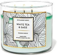 Fragrances, Perfumes, Cosmetics 3-Wick Scented Candle - Bath & Body Works White Tea & Sage Scented Candle