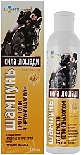 Fragrances, Perfumes, Cosmetics Anti-Dandruff Shampoo with Aloe Extract "Horse Power" - LekoPro