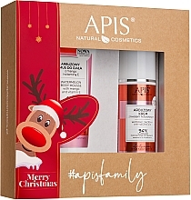 Set - APIS Professional Watermelon Refreshment Merry Christmas Set (b/mousse/200ml + f/cr/100ml) — photo N1