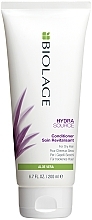 Fragrances, Perfumes, Cosmetics Moisturizing Dry Hair Conditioner - Biolage Hydrasource Conditioner