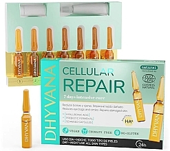 Fragrances, Perfumes, Cosmetics Cell Recovery Face Ampoules - Dhyvana Cellular Repair Ampoules
