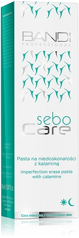 Anti-Imperfection Local Paste - Bandi Professional Sebo Care Imperfection Erase Paste — photo N2