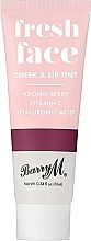 Lip & Cheek Tint - Barry M Fresh Face Cheek & Lip Tint — photo N1