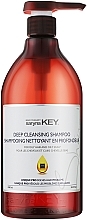 Shampoo for Oily Hair - Saryna Key Deep Cleansing Shampoo — photo N3