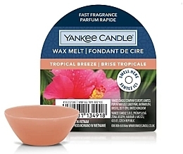Fragrances, Perfumes, Cosmetics Scented Wax Melts - Yankee Candle Wax Melt Tropical Breeze