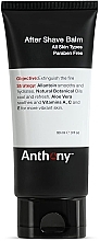 Fragrances, Perfumes, Cosmetics After Shave Balm - Anthony Aftershave Balm