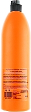 Concentrate Shampoo - Prosalon Hair Care Shampoo — photo N2