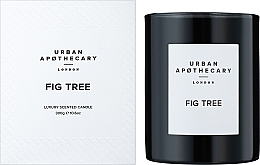 Urban Apothecary Fig Tree - Scented Candle — photo N2