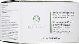 Scalp Purifying Scrub - Monat Scalp Purifying Scrub — photo N2