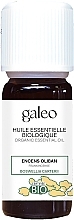 Organic Frankincense Essential Oil - Galeo Organic Essential Oil Boswellia Carterii — photo N1
