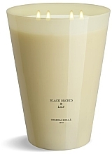 Fragrances, Perfumes, Cosmetics Cereria Molla Black Orchid & Lily 3XL - Scented Candle