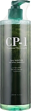 Fragrances, Perfumes, Cosmetics Natural Moisturizing Shampoo for Daily Use - Esthetic House CP-1 Daily Moisture Natural Shampoo