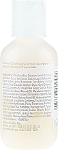 Sulfate-Free Oil Complex Shampoo - Bumble And Bumble Hairdresser's Invisible Oil Sulfate Free Shampoo Travel Size — photo N2