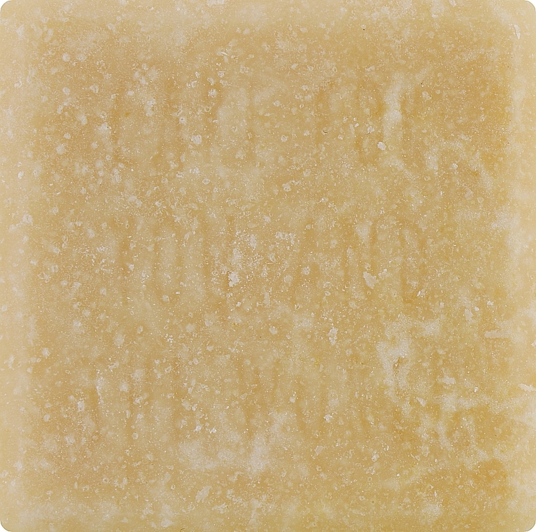 Nourishing Hair Shine Shampoo Bar "Plant Proteins & Birch Leaves" - Sante — photo N1