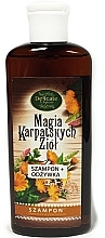 Fragrances, Perfumes, Cosmetics Dry Hair Shampoo - Delicate Organic Magic Carpathian Herbs Shampoo For Dry Hair