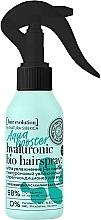 Fragrances, Perfumes, Cosmetics Hyaluronic Hydrating Conditioner Spray - Natura Siberica Hair Evolution Aqua Booster