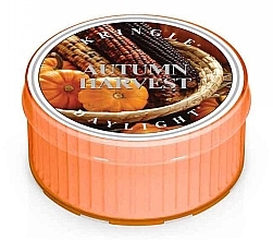 Fragrances, Perfumes, Cosmetics Tea Candle - Kringle Candle Autumn Harvest Daylight