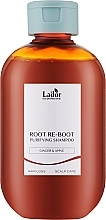 Ginger & Apple Hair Shampoo - La'dor Root Re-Boot Purifying Shampoo Ginger & Apple — photo N1