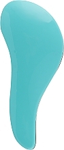 Untangling Hair Brush, CTZ-0050-B, blue - Rapira — photo N2