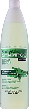 Fragrances, Perfumes, Cosmetics Dry Hair Shampoo - Renee Blanche Shampoo Dry Hair