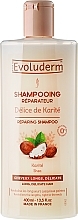 Fragrances, Perfumes, Cosmetics Shampoo - Evoluderm Delice de Karite Shampoo