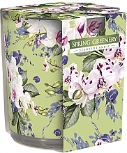 Fragrances, Perfumes, Cosmetics Scented Candle in Glass 'Spring Greens' - Bispol Scented Candle Spring Greenery