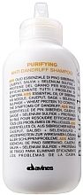 Fragrances, Perfumes, Cosmetics Anti-Dandruff Shampoo - Davines Anti-Dantdruff Shampoo