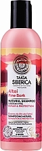 Fragrances, Perfumes, Cosmetics Repair Damaged Hair Shampoo - Natura Siberica Doctor Taiga