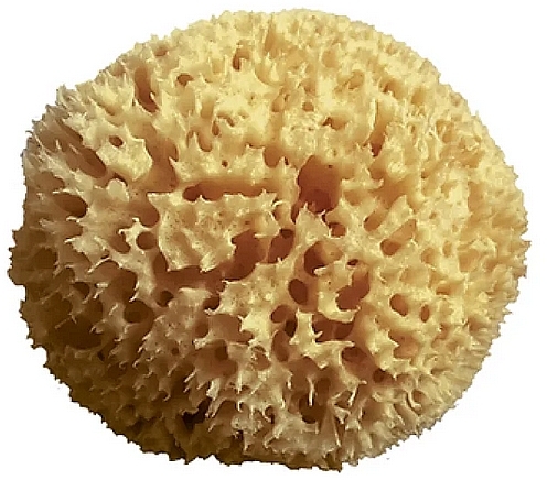 Body Sponge, 10 cm - Himalaya dal 1989 Alcea Spugna Di Mare — photo N1