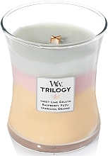 Fragrances, Perfumes, Cosmetics Scented Candle in Glass - WoodWick Hourglass Trilogy Candle Summer Sweets