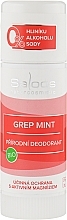 Fragrances, Perfumes, Cosmetics Organic Natural Deodorant "Grapefruit Mint" - Saloos Grep Mint Deodorant
