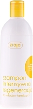 Honey Shampoo fpr Damaged Hair - Ziaja Shampoo — photo N1