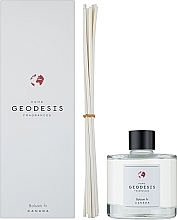 Geodesis Balsam Fir - Reed Diffuser — photo N2