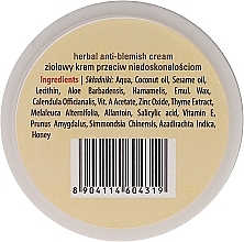 Skin Even Tone Cream - Sattva Ayurveda Anti-Blemish Cream — photo N3