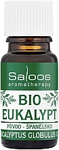 Eucalyptus Essential Oil - Saloos Bio Essential Oil Eucalyptus — photo N1