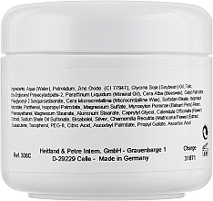 Healing Anti-Acne Spot Night Paste with Micro-Silver - Rosa Graf Amintamed — photo N2