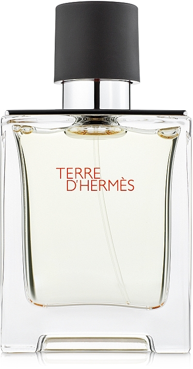 Hermes Terre dHermes - Eau de Toilette (tester with cap) — photo N1