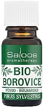 Pine Essential Oil - Saloos Bio Essential Oil Pine — photo N1